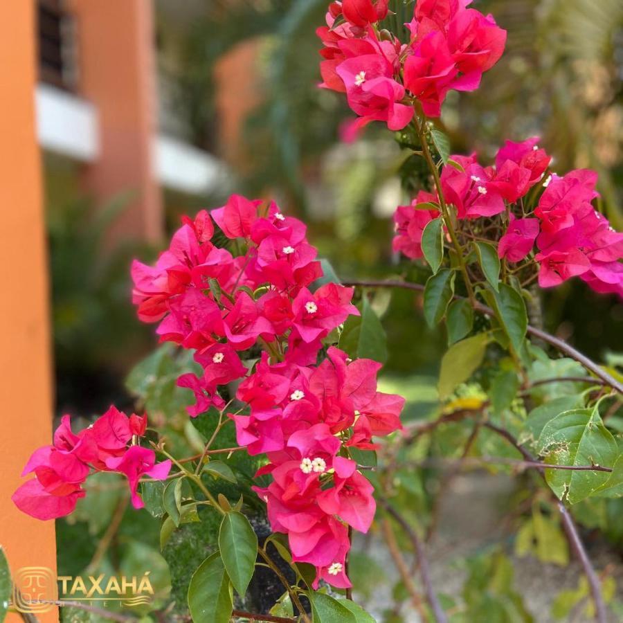 Hotel Taxaha Candelaria Exterior photo